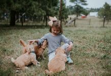 Is Pet Insurance Worth it?